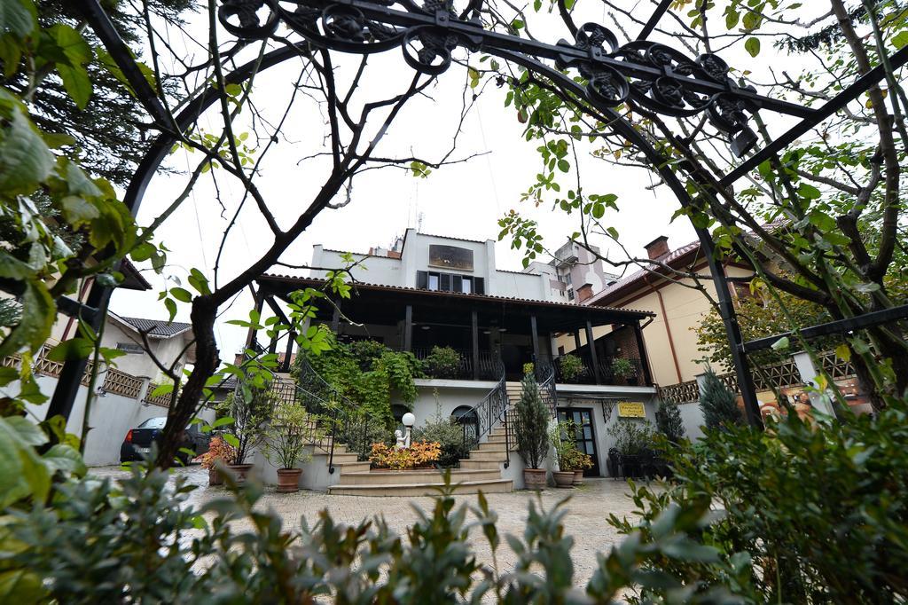 Pensiunea Antique Târgu Jiu Εξωτερικό φωτογραφία